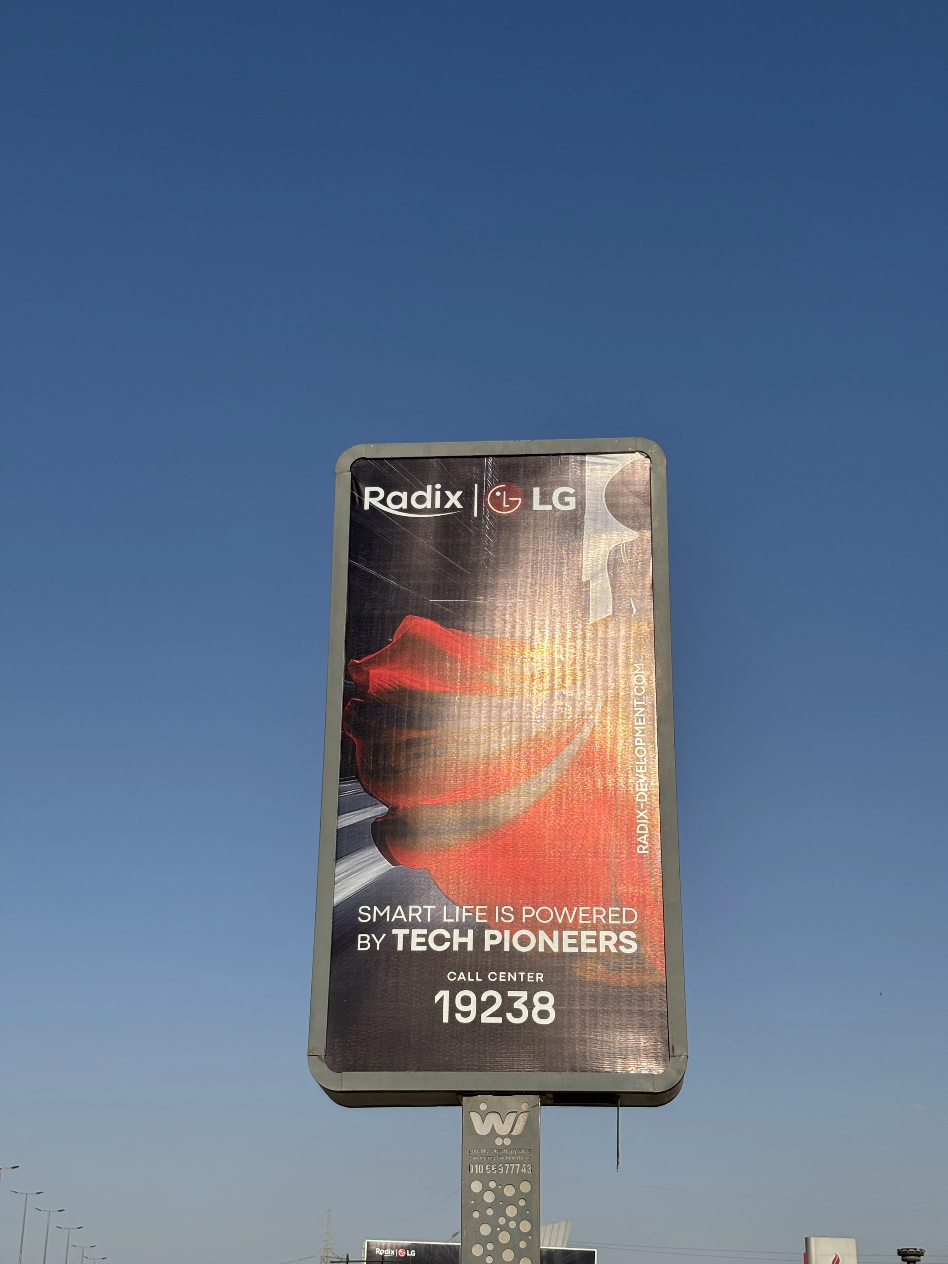 radix & lg billboard 3